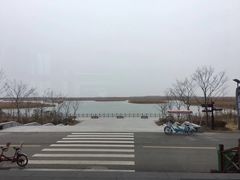 -盐城丹顶鹤湿地生态旅游区