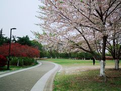 -石湖景区
