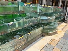 水产区-四海鲜渔家菜(黄金海岸店)