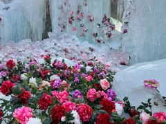 -洛阳白云山景区