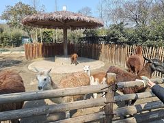 -宁波野生动物园