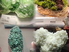 -湖南省地质博物馆