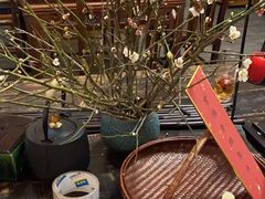 -道南書院·私房菜·早午茶·茶馆