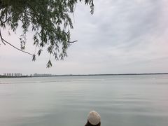 -阳澄湖半岛旅游度假区