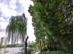 -黄兴公园
