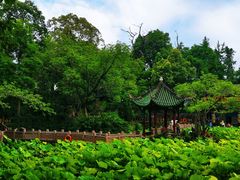 -房湖公园