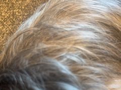 -北京观赏动物医院·24小时大型综合·猫专科·异宠专科