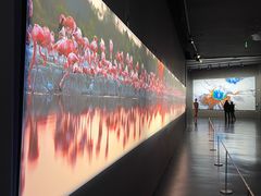 -罗红摄影艺术馆