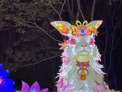 -厦门园林博览苑