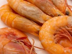 -外沙疍家棚酒楼