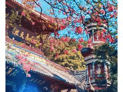 -都江堰景区