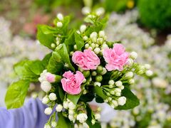 -双季花艺园艺市场(浦东店)