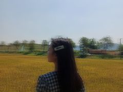 -光明小镇欢乐田园