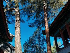 -承德避暑山庄景区