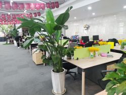 点击看大图 -子午孕教·孕妇瑜伽产后恢复(市北店)