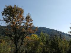 -塔川景区