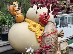 -丽泽山庄·生态怀柔菜·虹鳟鱼(红螺寺店)
