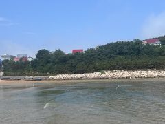 -金海滩海水浴场
