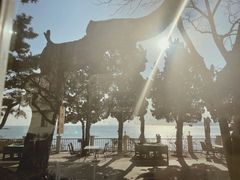 -如花大师咖啡·