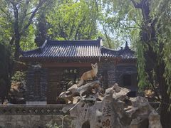 -淄博聊斋城景区