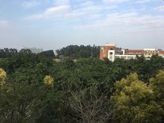 -鹤山碧桂园凤凰酒店