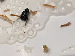 -吕宋海鲜楼