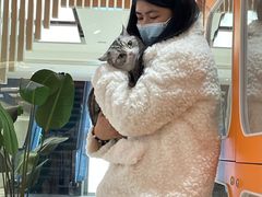 -三花喵·撸猫购宠·宠物生活馆(虹桥南丰城店)