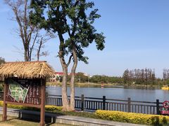 -上海长兴岛郊野公园