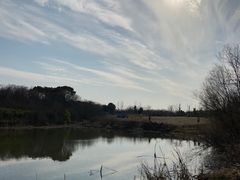 -盘龙城国家考古遗址公园