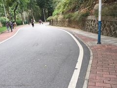 -火炉山森林公园