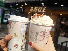 -茶颜悦色(嘉顿一楼吉时赏味游园会店)