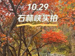 -京东石林峡风景区