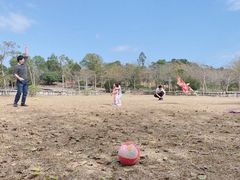 -聚龙山公园