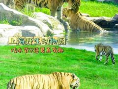 -上海野生动物园