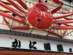 -蟹道乐(道顿堀本店)