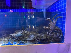 -花西亭·海鲜自助餐厅(瑞城名人酒店)
