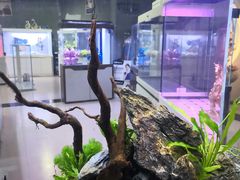 -秦美花卉(天朗·莱茵小城2期店)