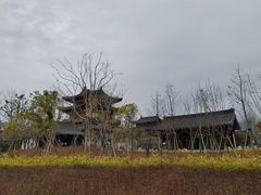 -江心屿景区