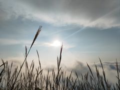 -萍乡武功山风景名胜区