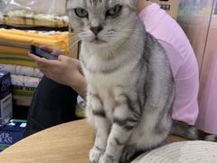 -FAELING PETS美天灵宠物(富力广场店)