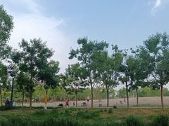 -东郊湿地公园