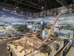 -自贡恐龙博物馆