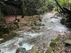 -本溪汤沟绿石谷森林公园