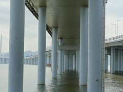 -深圳湾公园(南山区)