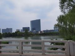 -大兴滨河森林公园