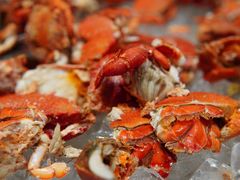 大闸蟹-北京希尔顿逸林酒店-逸轩西餐厅-自助餐厅