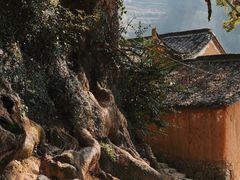 -杨家堂村