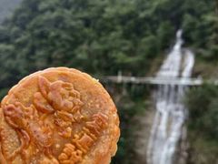 -九龙江国家森林公园