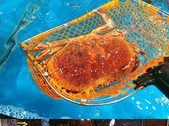 -盒马鲜生(曜一城店)