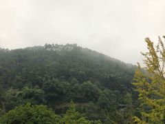 -楠柏弯休闲山庄(梨花溪店)